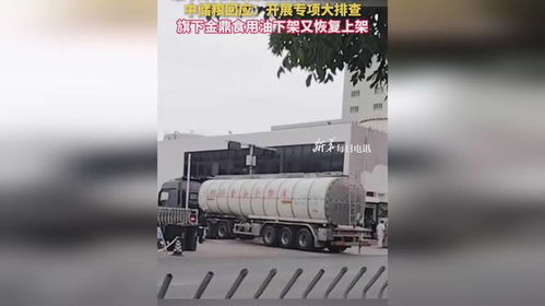 食用油安全風(fēng)波再起 中儲(chǔ)糧金鼎疑遭污染，官方緊急行動(dòng)凸顯行業(yè)隱憂